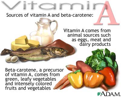 :	vitamin-a-source.jpg
: 21561
:	26.2 