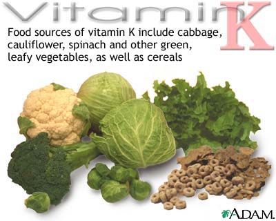 :	vitamin-k-source.jpg
: 13684
:	24.0 